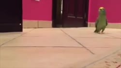 400x226