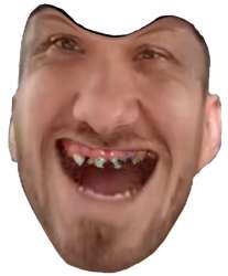432x520