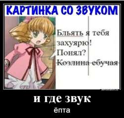 981x933
