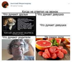 537x462