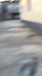 720x1280
