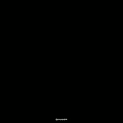 480x480