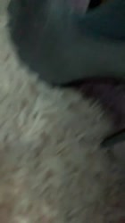 540x960