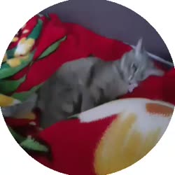 320x320