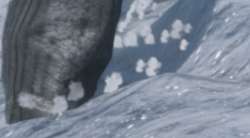 1132x625