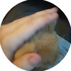 320x320