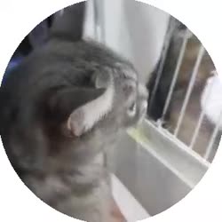 320x320