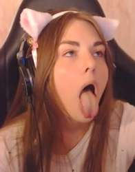 260x331