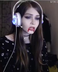 292x360