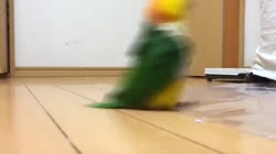 640x360