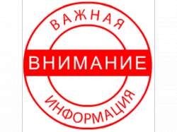 800x600
