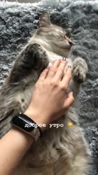 720x1278