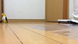 640x360