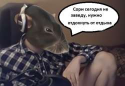 476x329