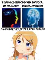 600x801