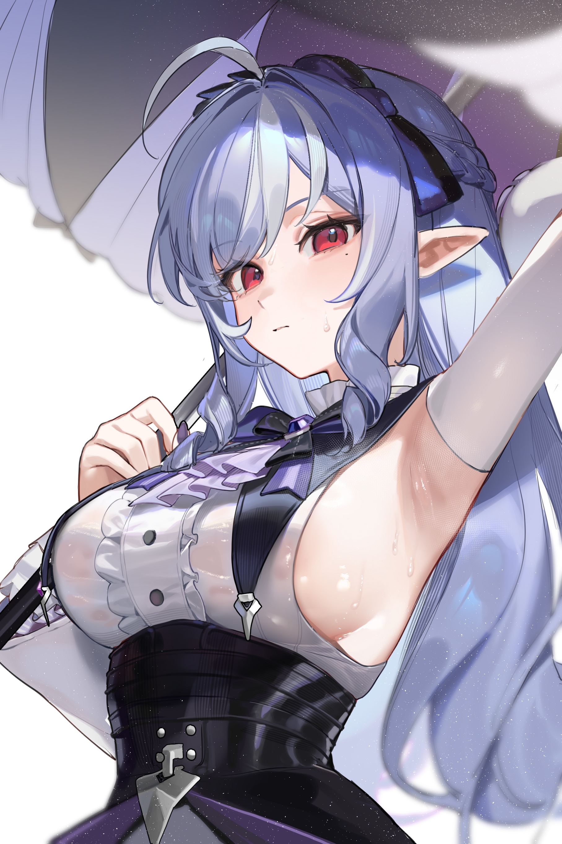 1815x2726