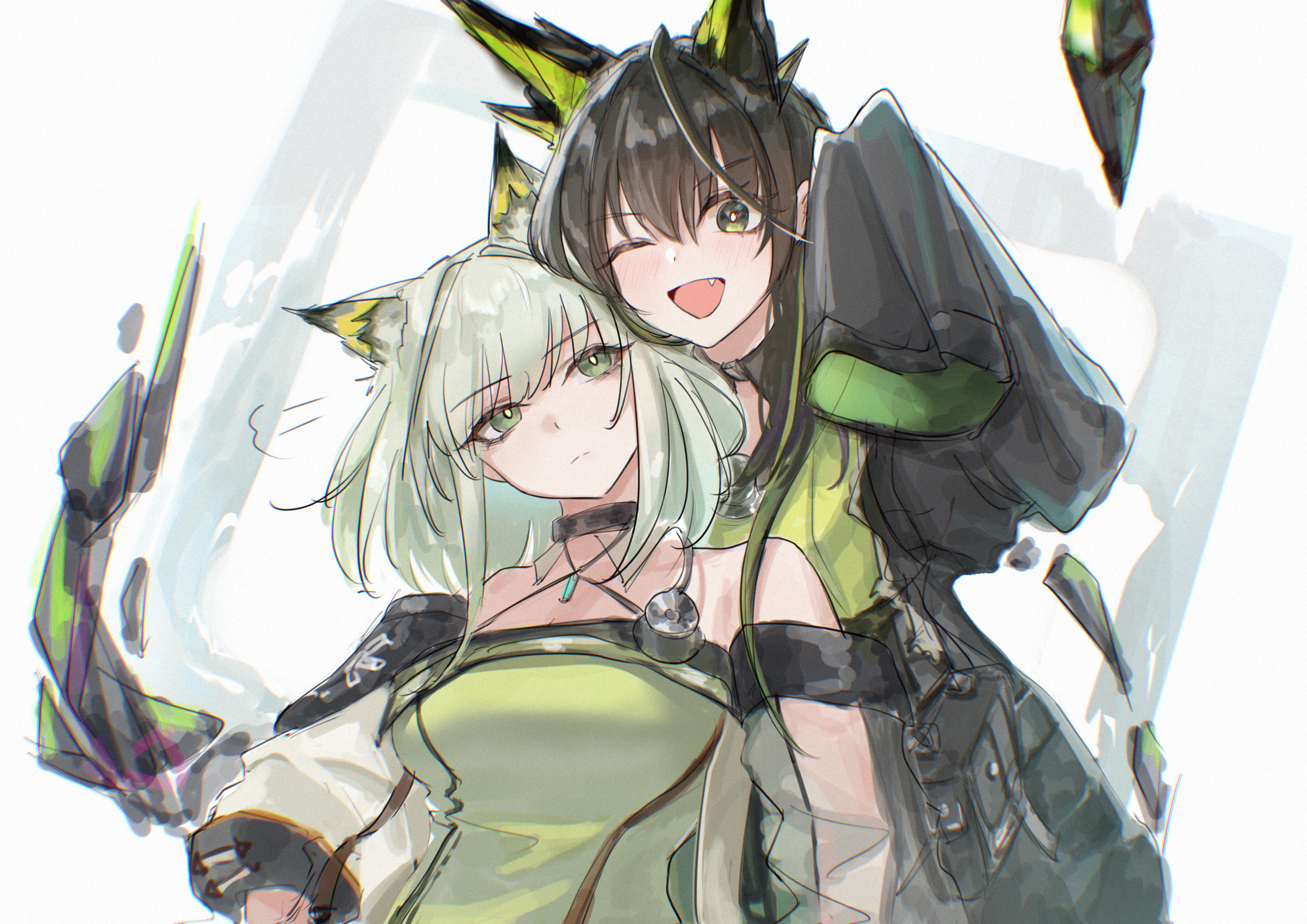 4093x2894