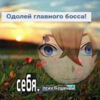 736x736