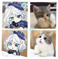 790x807