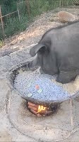 360x638