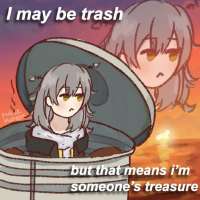 736x736