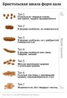 500x734