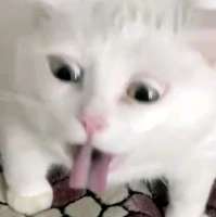 1079x1080