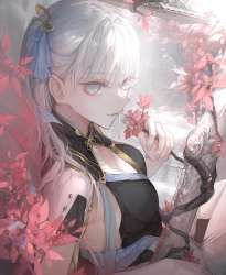 850x1033