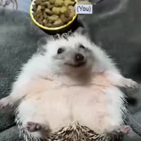 640x640