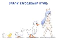 1280x913