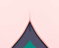 338x278