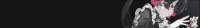 1280x182