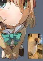 736x1037