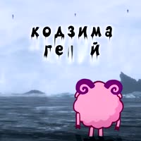 740x740