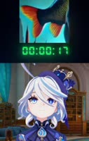 576x906