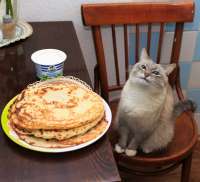 176
