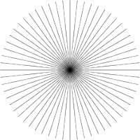 236x236