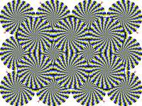 1000x750