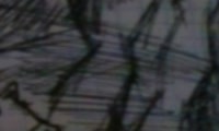 800x480