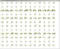 1006x826