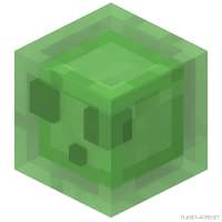 800x800