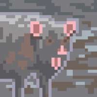 256x256
