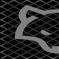 256x256