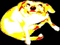480x360