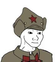 537x604