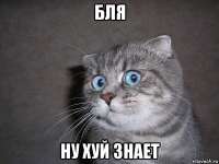 604x453
