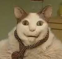 60