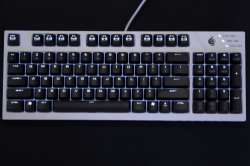 500x333