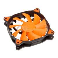 800x800