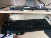 1280x960